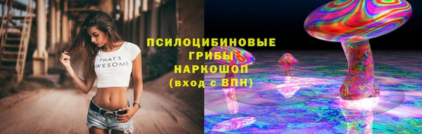 хмурый Абинск