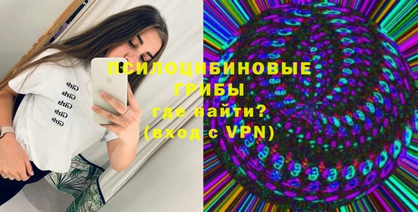 бошки Алексин