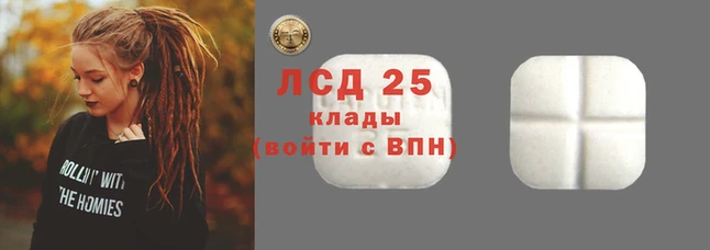 крисы Алзамай