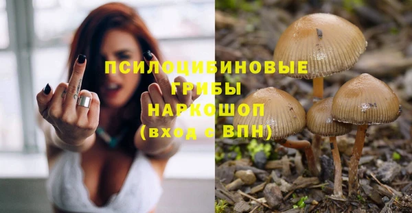 хмурый Абинск