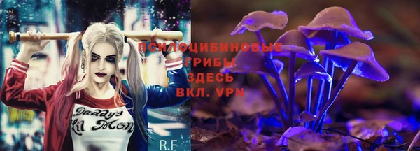 герыч Алексеевка